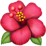 hibiskus