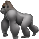 Gorilla